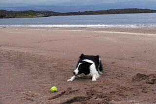 Holiday Cottages West Coast of Scotland